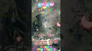 과거는 새로운 시작의 관문이 될수있다 #리니지m #리니지w #게임