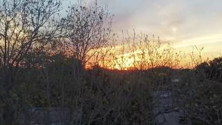 Xstreme Sunset wow WOW MUST SE…