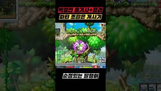 하입 용기사 프리 1:1 파티사냥 #빅뱅전메이플 #옛날메이플 #메이플스토리