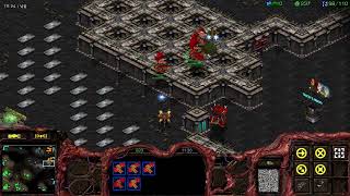 [21.01.29] 스타크래프트 A저그 래더~