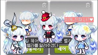 [메이플스토리 별링] 벨라에 도른자의 벨라헤어 커믹추천 ★ 벨라헤어 커믹염