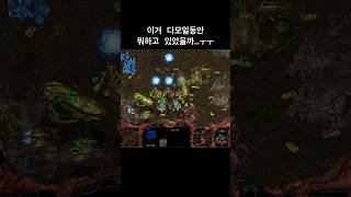 스타크래프트 너무 기다린 댓가(?)