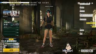 Mindori 배틀그라운드