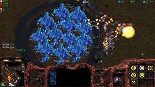 스타크래프트 유즈맵 -이명박 피하기-