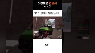 이정도면 견문색 ㅇㅈ ? #pubg #배틀그라운드 #배그