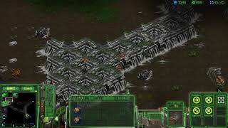 스타크래프트 저그 vs 프로토스 옵티마이저