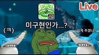 [메이플랜드] 샤프20 파밍성공!!!개찢었다