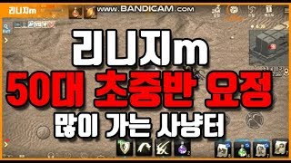 리니지m 요정50대초중반 많이가는 사냥터는