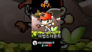 야구. 메이플랜드