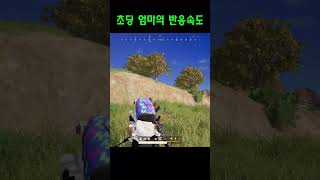 초딩 엄마의 배그 반응속도 #배틀그라운드 #배그 #pubg