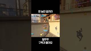 한 놈만 걸려라(오버워치2) #오버워치2 #overwatch2