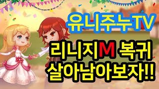 리니지m 월요일 무슨일이 일어날까  리니지와 함께 다크엘프 사냥중  34일차 lineage 天堂m