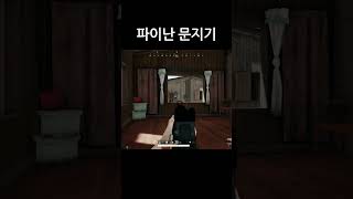 파이난 문지기 #shorts #배그 #배틀그라운드
