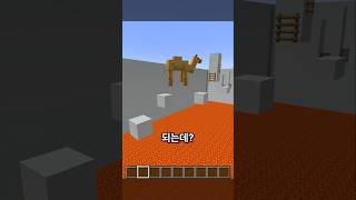 동물로 변해서 점프맵을 깨라! 마인크래프트 동물 점프맵…