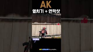 AK 옆치기+연막샷  #battleground  #배틀그라운드하이라이트#배틀그라운드 #pubg #배그 #chicken #gaming #ak #battlegrounds