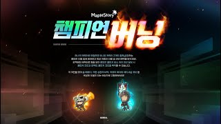 250405 메이플스토리 퍼펙트 챌린지 (윌)