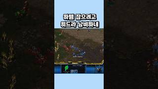 하템 잡으려고 히드라 낭비하네 #스타크래프트 #프로토스…
