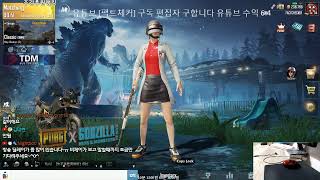 배틀그라운드 m 시참 ㅇ 좀비 모드 Zombies mo…