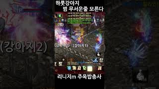 리니지m 하룻강아지와 범 (개소리와범소리주의)