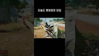 ㅋㅋㅋ정신없다 #shorts #배그 #배틀그라운드