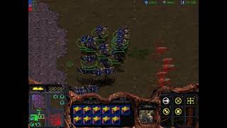 StarCraft 스타크래프트 / 유즈맵 컴까기 섬맵 …