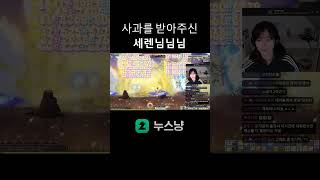 사과를 받아주신 세렌님님님 #메이플스토리 #메이플 #세렌 #메이플보스 #shorts