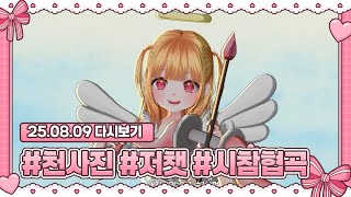 25.08.09#저챗 #리그오브레전드 #시참