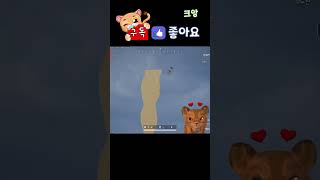 새도 떨어뜨리는 아기사자  #shorts #vint  #배그 #배틀그라운드 #battlegrounds #pubg #빈튜브 #빈트 #배그하이라이트 #배그매드무비