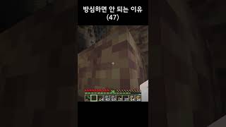 [마인크래프트]방심하면 안 되는 이유 47