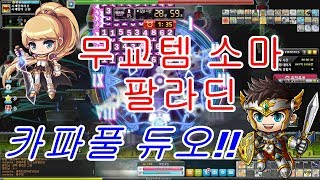 무교템 소마팔라딘 카오스 파풀라투스 메이플스토리 카파풀