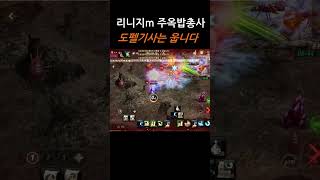 도펠기사 맞다이 독식2 (선빵필승ㅋㅋ) #리니지m #중…