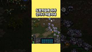 도망치길래 따라갔더니 이걸지네 #스타크래프트 #프로토스 #래더 #테란 #게임 #전략