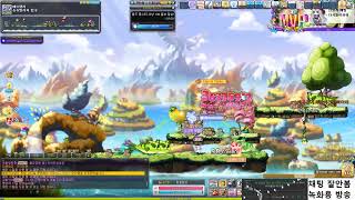 메이플스토리 스카니아 루미 육성