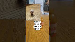 #도일성 #마인크래프트 토일:뭐야 넌 죽었잖아