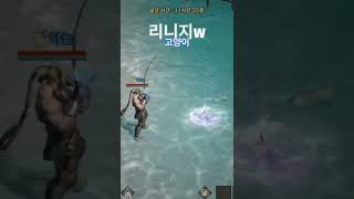 고양이가 걸어갑니다. #리니지m #게임 #리니지w #g…