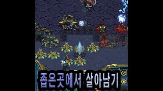 스타크래프트 좁은곳에서 살아남기