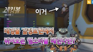 오버워치 실험 레킹볼 감정표현중 뛰어오른 햄스터를 때린…