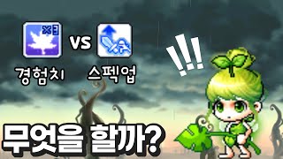 경험치냐 스펙업이냐 그것이 문제로다 (무자본, 메이플스…