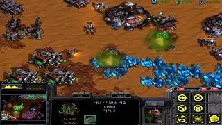 스타크래프트 리마스터 브루드워 9. 반자치령 연합군