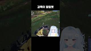 감쪽이 알람봇 #배틀그라운드