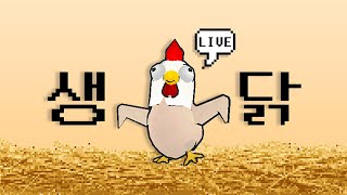 겟앰프드 생닭 / 토요일! 토요일은 겟앰프드