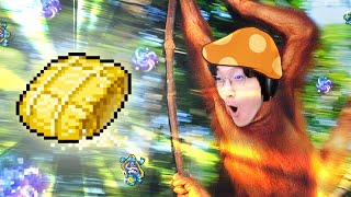 쌀라클 타임 [메이플스토리]