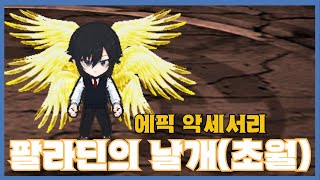 [팔라딘의 날개(초월)] 분석 영상 [Getamped]