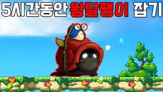 메이플스토리 5시간동안 왕달팽이 잡기