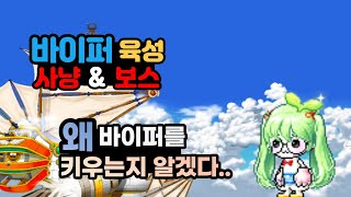 메이플 바이퍼 사냥＆보스 육성하기 넘나 재밌![메이플스토리]