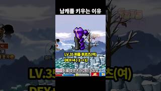 남자 캐릭터로 키우는 이유 | 메이플랜드