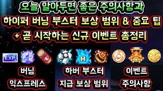 [메이플스토리 맑음] 오늘 알아두면 좋은 주의사항과 하…