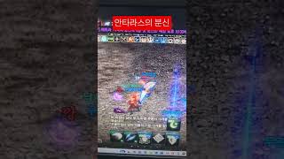 리니지M 혈맹레이드 안타라스의분신 안타 안타레이드 안타…