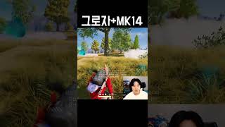 그로자랑 MK14가 좋은 이유 #shorts #배틀그라…