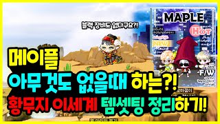 [메이플] 아무것도 없는 ‍♀️ 쌩뉴비들이 하는?! 초…